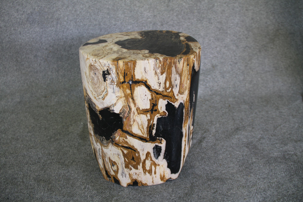 Petrified Wood Log Stool 16in (h) x 12in x 10in - 930.22 | Petrified Wood Stools | Modishstore-4