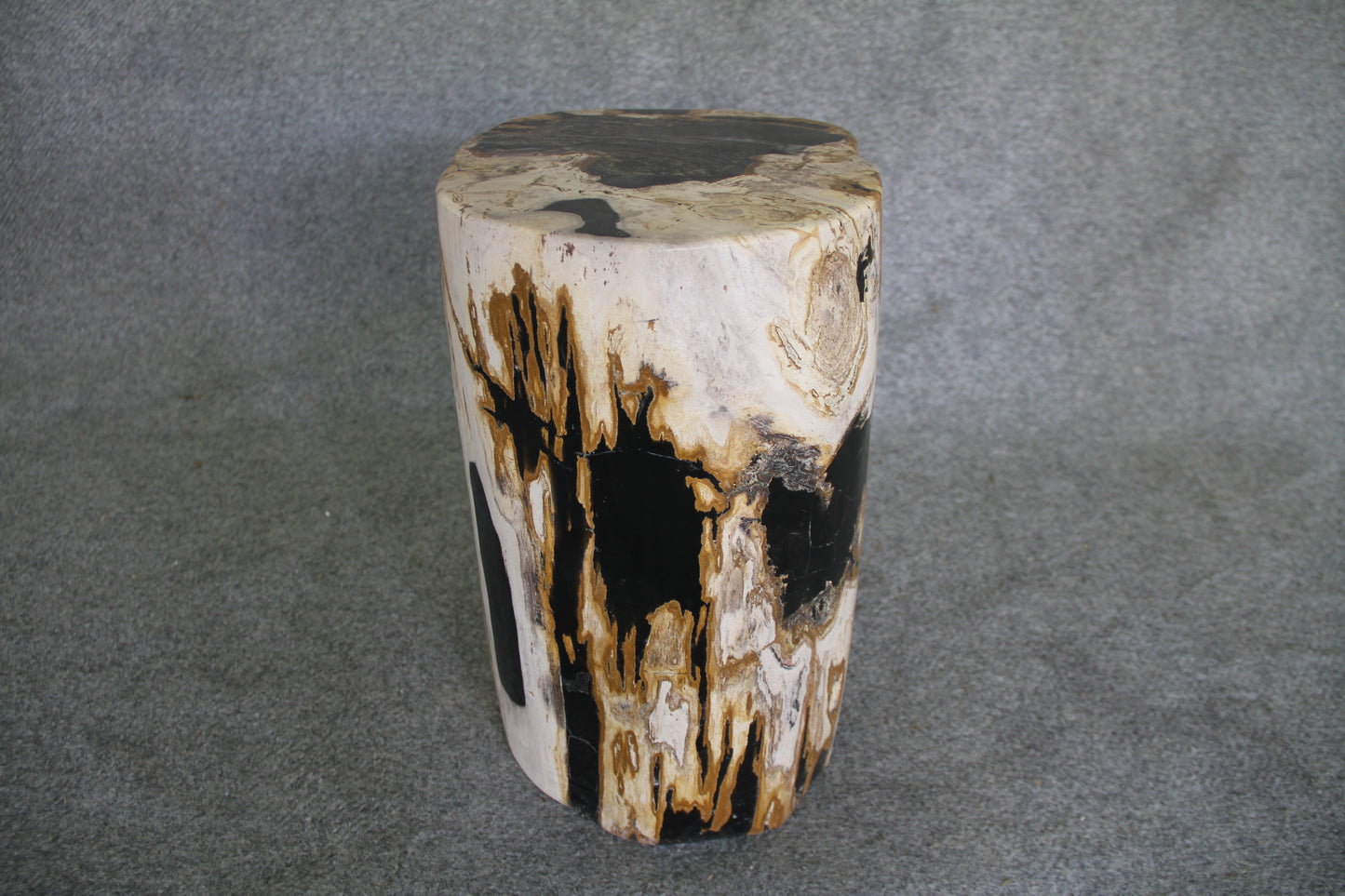 Petrified Wood Log Stool 16in (h) x 12in x 10in - 930.22 | Petrified Wood Stools | Modishstore-3