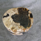Petrified Wood Log Stool 16in (h) x 12in x 10in - 930.22 | Petrified Wood Stools | Modishstore-2