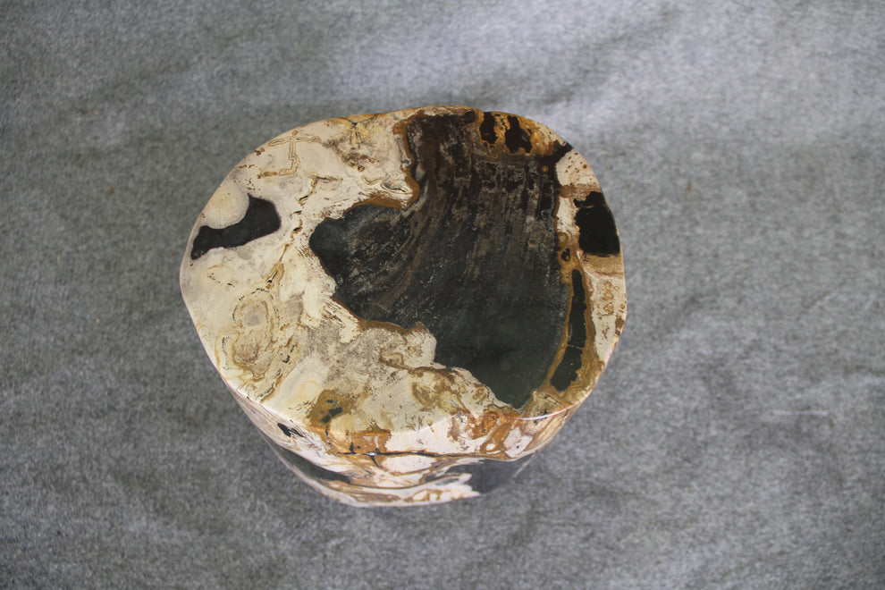 Petrified Wood Log Stool 16in (h) x 12in x 10in - 930.22 | Petrified Wood Stools | Modishstore-2