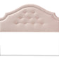 baxton studio cora modern and contemporary light pink velvet fabric upholstered king size headboard | Modish Furniture Store-3