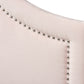 Baxton Studio Rita Modern and Contemporary Light Pink Velvet Fabric Upholstered Queen Size Headboard | Headboards | Modishstore - 4