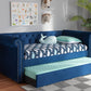 Baxton Studio Mabelle Modern and Contemporary Navy Blue Velvet Upholstered Daybed with Trundle | Modishstore | Beds