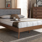 Baxton Studio Ines Mid-Century Modern Light Grey Fabric Upholstered Walnut Brown Finished Wood Queen Size Platform Bed | Modishstore | Beds