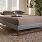 Baxton Studio Liliya Mid-Century Modern Light Grey Fabric Upholstered Walnut Brown Finished Wood Full Size Platform Bed Frame | Modishstore | Beds