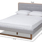 Baxton Studio Sofia Mid-Century Modern Light Grey Fabric Upholstered and Ash Walnut Finished Wood Full Size Platform Bed | Beds | Modishstore - 6