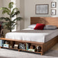 Baxton Studio Alba Modern Transitional Ash Walnut Brown Finished Wood Full Size 4-Drawer Platform Storage Bed with Built-In Shelves | Modishstore | Beds