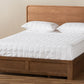 Baxton Studio Eleni Modern Transitional Dark Grey Queen Size 3-Drawer Platform Storage Bed | Beds | Modishstore - 3