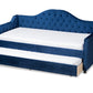 Baxton Studio Perry Modern and Contemporary Royal Blue Velvet Fabric Upholstered and Button Tufted Twin Size Daybed with Trundle | Daybeds | Modishstore - 4