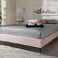 Baxton Studio Volden Glam and Luxe Light Pink Velvet Fabric Upholstered Full Size Wood Platform Bed Frame with Gold-Tone Leg Tips | Modishstore | Beds
