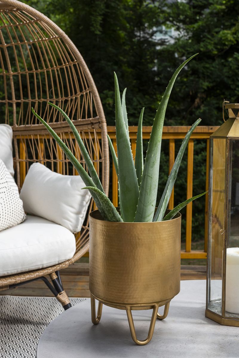 Juneau Pot Collection By Accent Decor | Planters, Troughs & Cachepots | Modishstore - 2