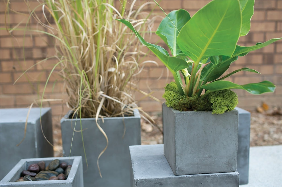 Newport Grey Concrete Cube Planter By Accent Decor- 6 Sizes | Planters, Troughs & Cachepots | Modishstore - 2