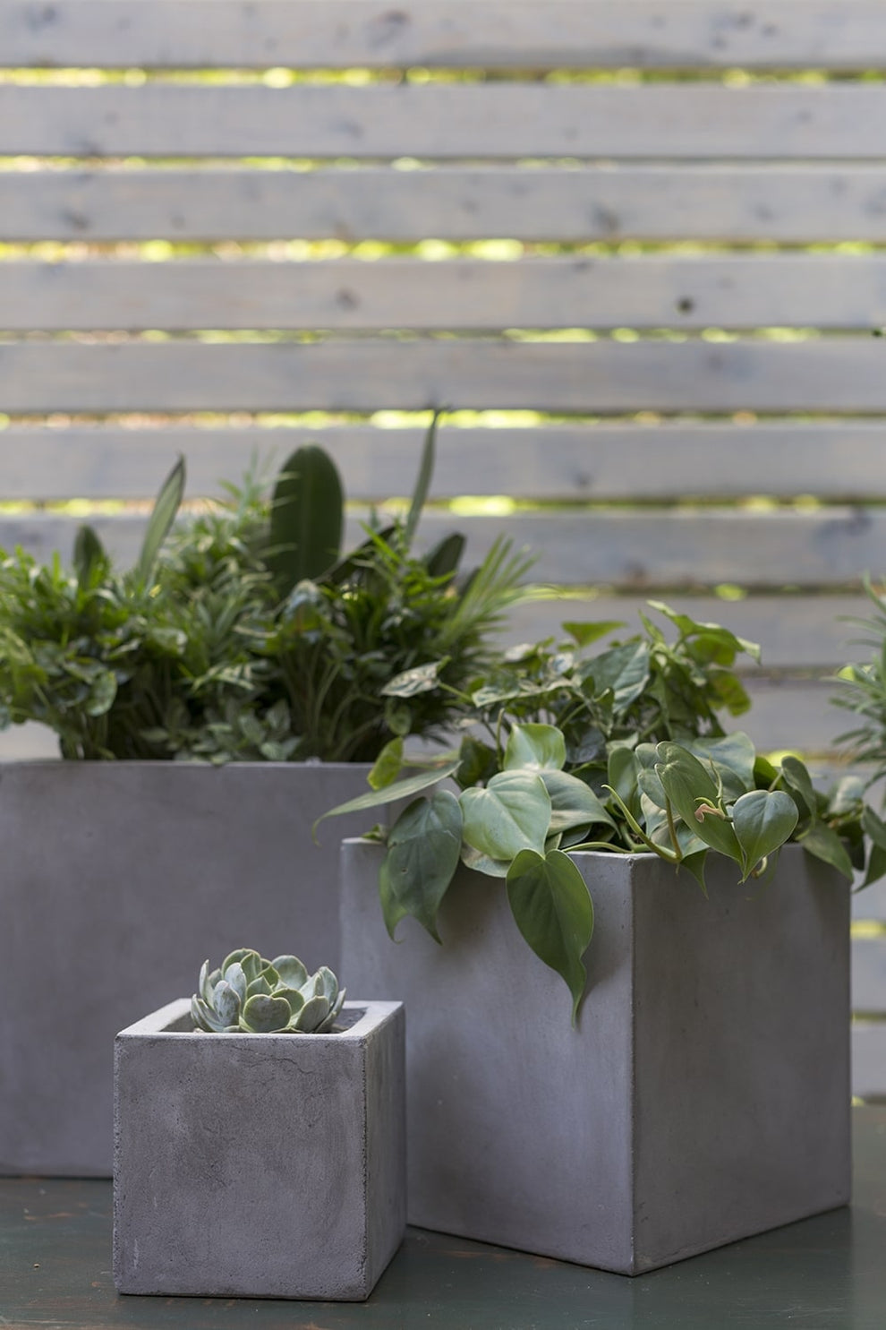 Newport Grey Concrete Cube Planter By Accent Decor- 6 Sizes | Planters, Troughs & Cachepots | Modishstore - 3