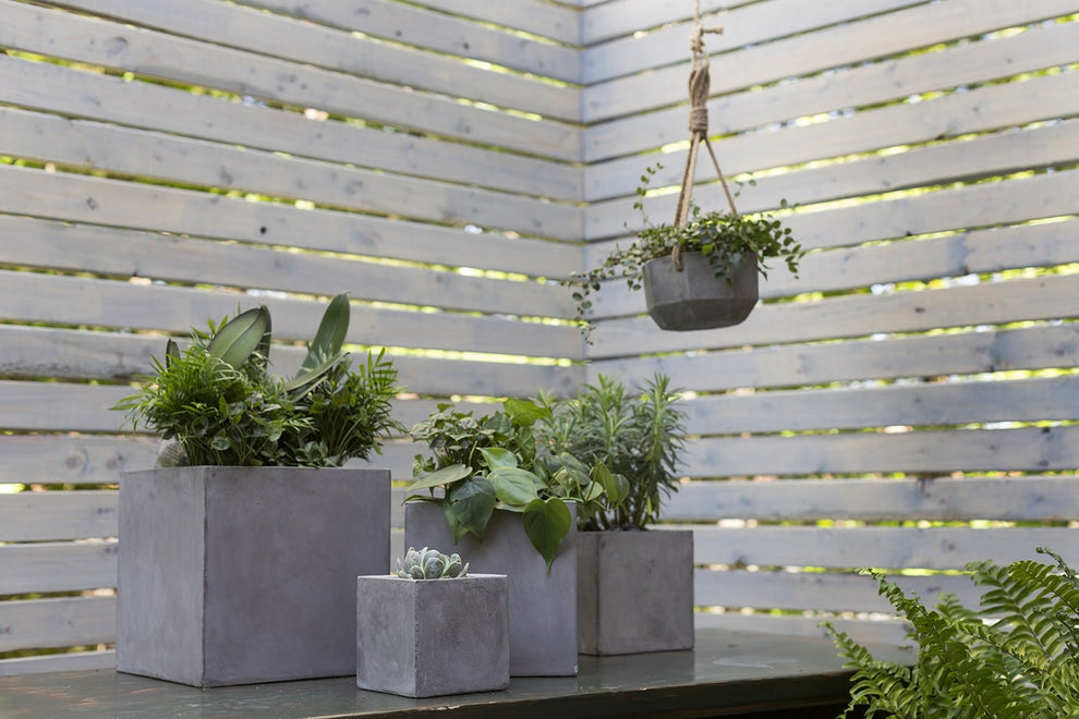 Newport Grey Concrete Cube Planter By Accent Decor- 6 Sizes | Planters, Troughs & Cachepots | Modishstore - 4