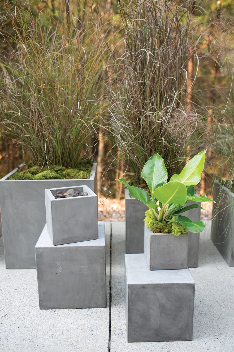Newport Grey Concrete Cube Planter By Accent Decor- 6 Sizes | Planters, Troughs & Cachepots | Modishstore - 6