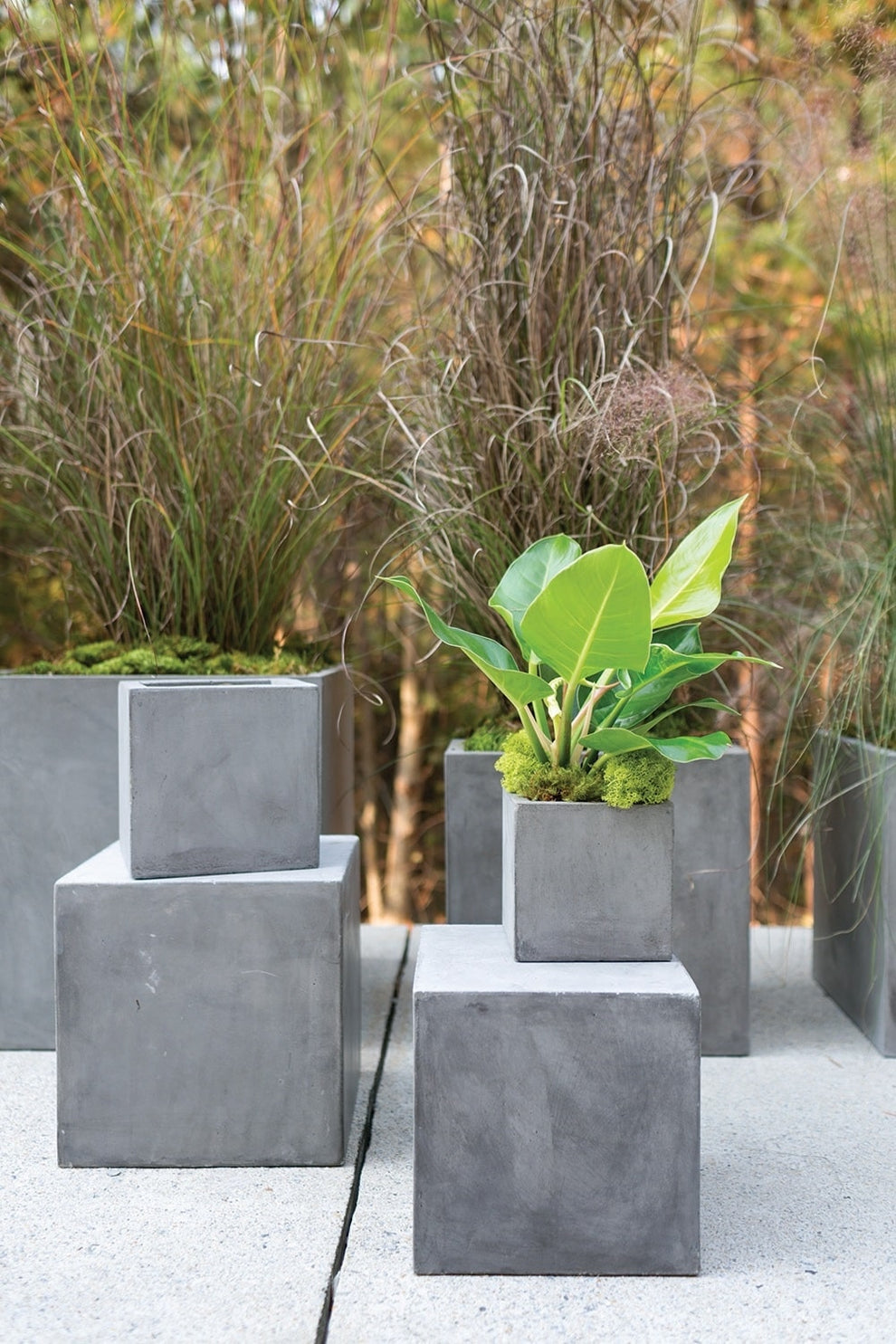 Newport Grey Concrete Cube Planter By Accent Decor- 6 Sizes | Planters, Troughs & Cachepots | Modishstore - 9