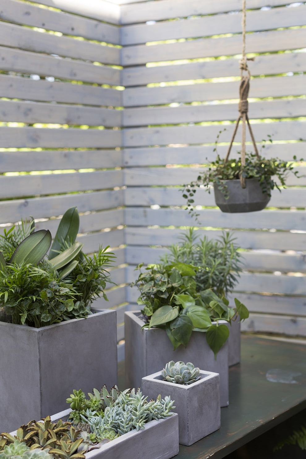 Newport Grey Concrete Cube Planter By Accent Decor- 6 Sizes | Planters, Troughs & Cachepots | Modishstore - 10