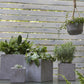 Newport Cube By Accent Decor | Outdoor Planters, Troughs & Cachepots | Modishstore - 14