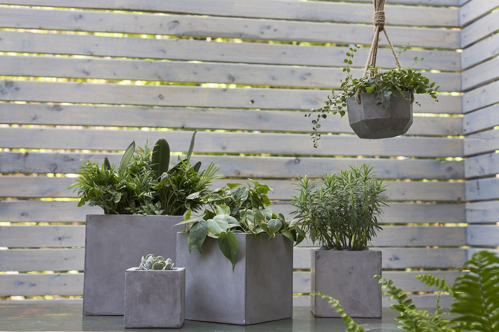 Newport Grey Concrete Cube Planter By Accent Decor- 6 Sizes | Planters, Troughs & Cachepots | Modishstore - 14