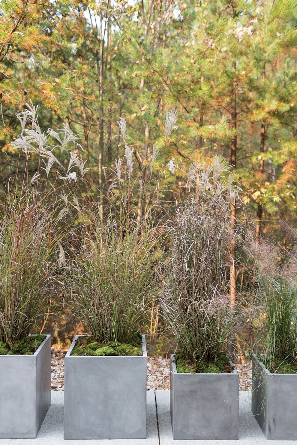 Newport Grey Concrete Cube Planter By Accent Decor- 6 Sizes | Planters, Troughs & Cachepots | Modishstore - 16