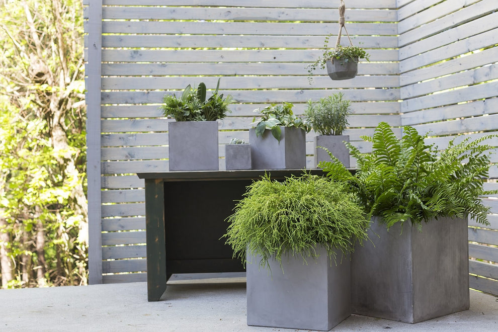 Newport Grey Concrete Cube Planter By Accent Decor- 6 Sizes | Planters, Troughs & Cachepots | Modishstore - 18