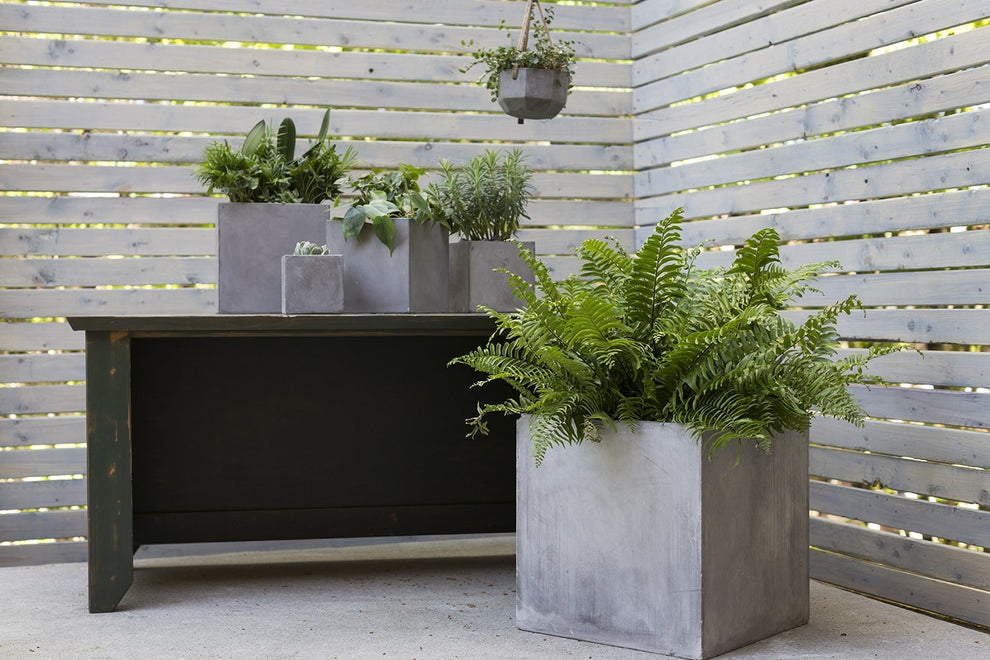 Newport Grey Concrete Cube Planter By Accent Decor- 6 Sizes | Planters, Troughs & Cachepots | Modishstore - 21