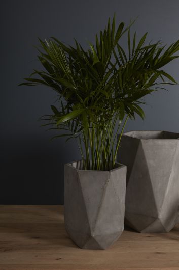Vernon Grey Concrete Planter By Accent Decor | Planters, Troughs & Cachepots | Modishstore - 4