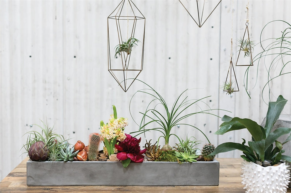 Newport Tray Planter Set of 3 By Accent Decor | Outdoor Planters, Troughs & Cachepots | Modishstore - 2