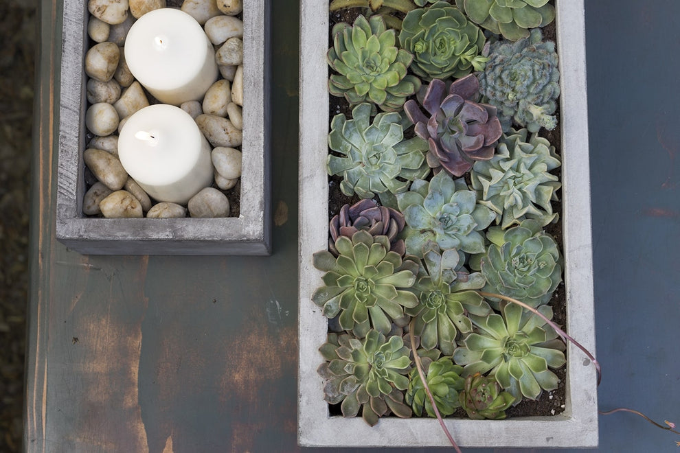 Newport Tray Planter Set of 3 By Accent Decor | Outdoor Planters, Troughs & Cachepots | Modishstore - 4