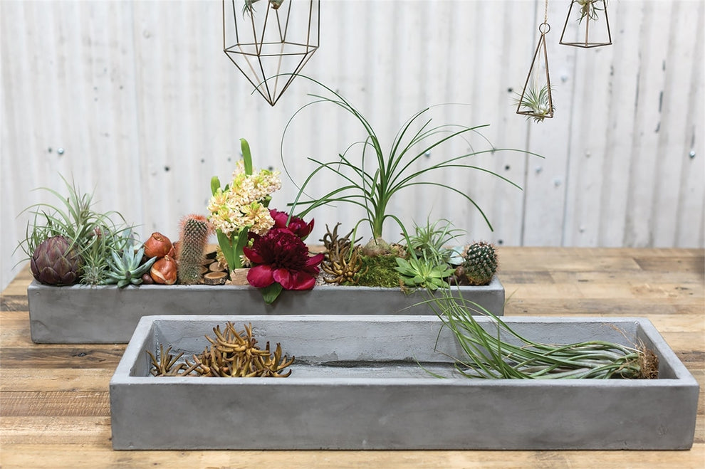 Newport Tray Planter Set of 3 By Accent Decor | Outdoor Planters, Troughs & Cachepots | Modishstore - 6