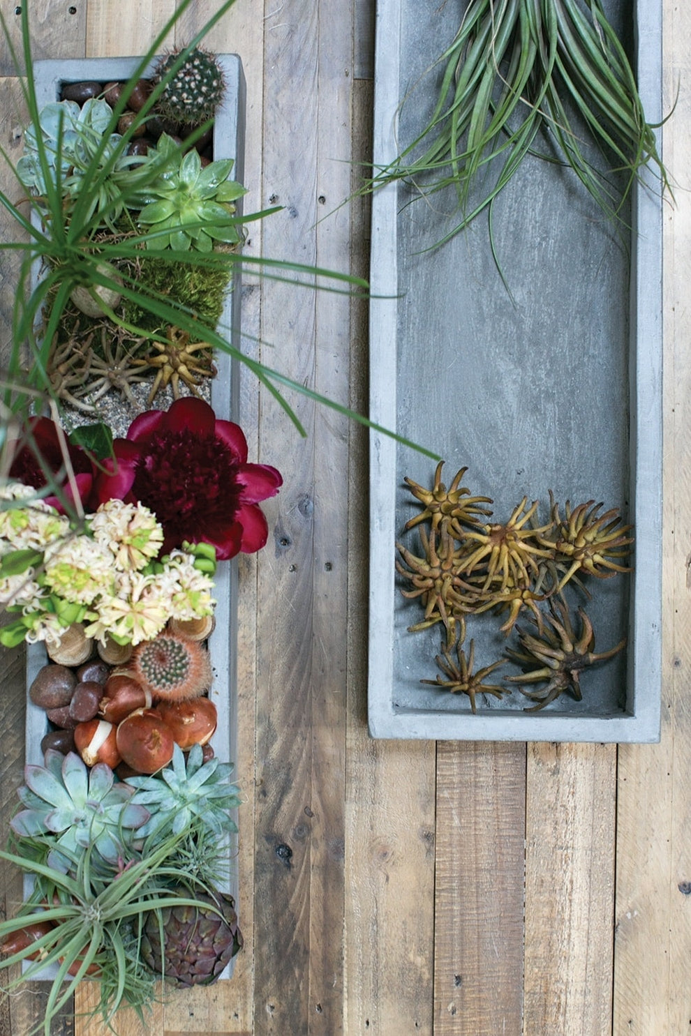 Newport Tray Planter Set of 3 By Accent Decor | Outdoor Planters, Troughs & Cachepots | Modishstore - 7