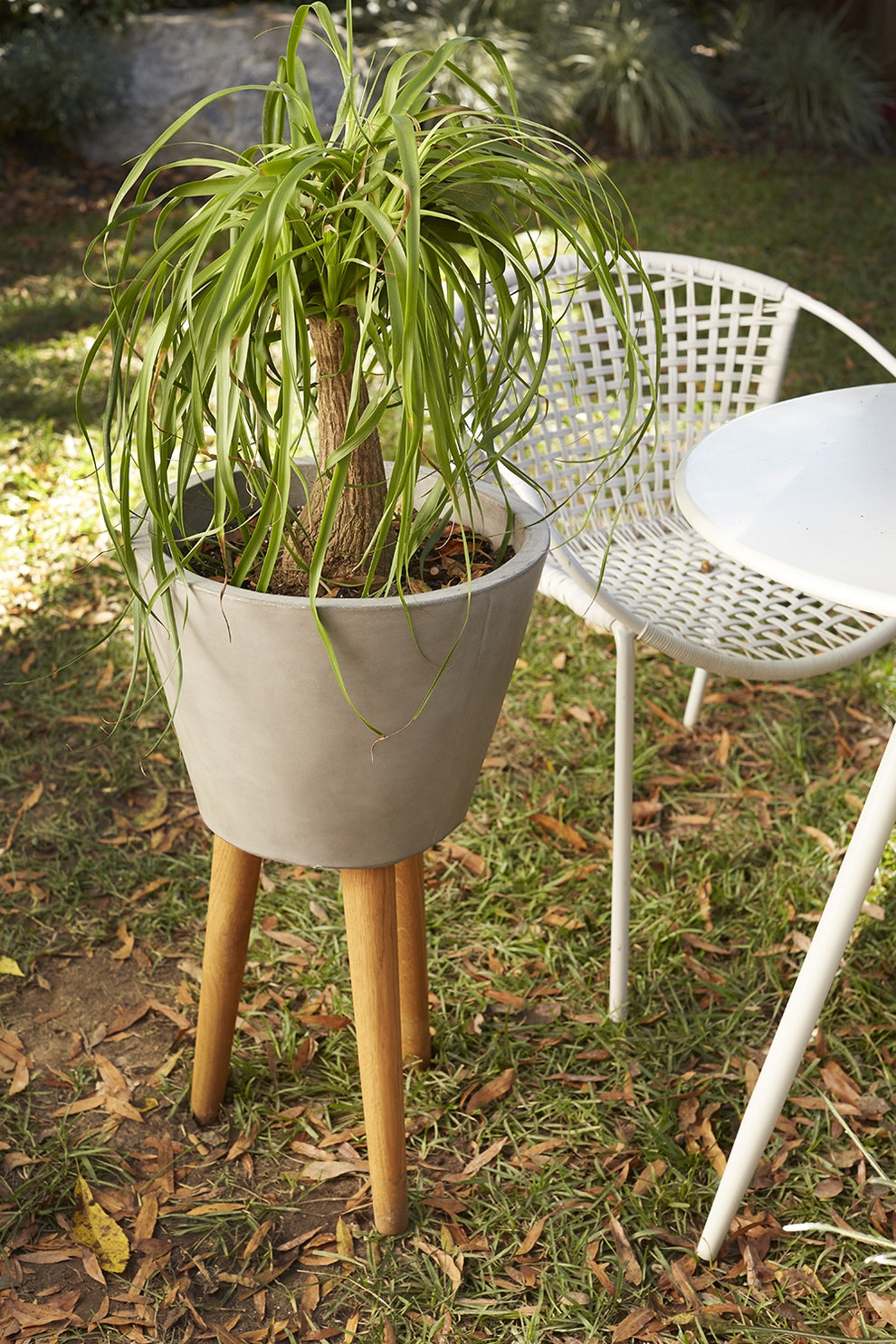 Berlin Planter & Pot By Accent Decor | Planters, Troughs & Cachepots | Modishstore - 1