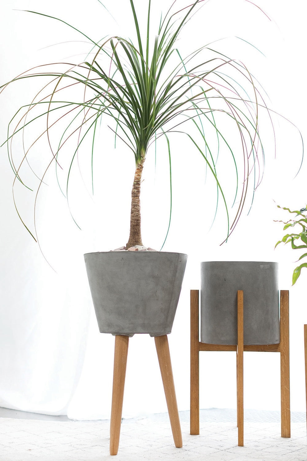 Berlin Planter & Pot By Accent Decor | Planters, Troughs & Cachepots | Modishstore - 3