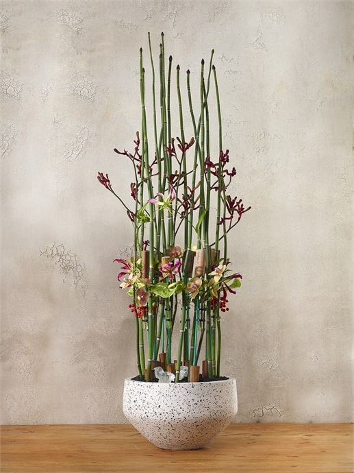 Razzo Collection Bowl by Accent Decor | Outdoor Planters, Troughs & Cachepots | Modishstore - 2