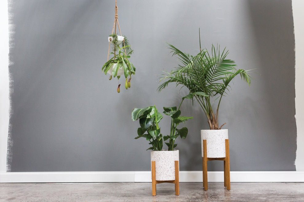 Dale Plant Stand By Accent Decor | Planters, Troughs & Cachepots | Modishstore - 2