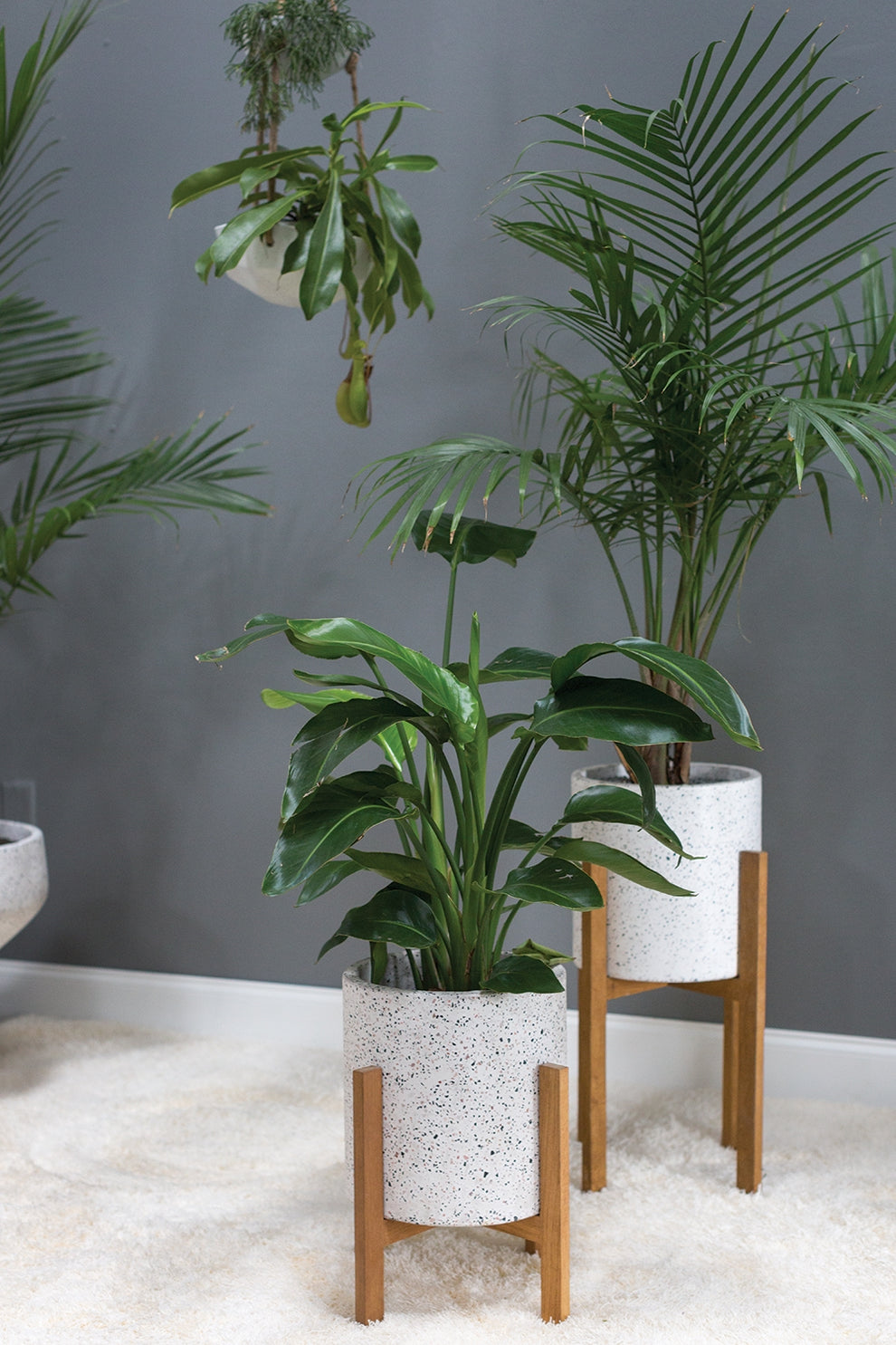 Dale Plant Stand By Accent Decor | Planters, Troughs & Cachepots | Modishstore - 1