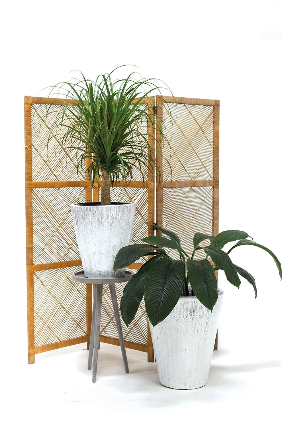 Camy Planter By Accent Decor | Outdoor Planters, Troughs & Cachepots | Modishstore - 4