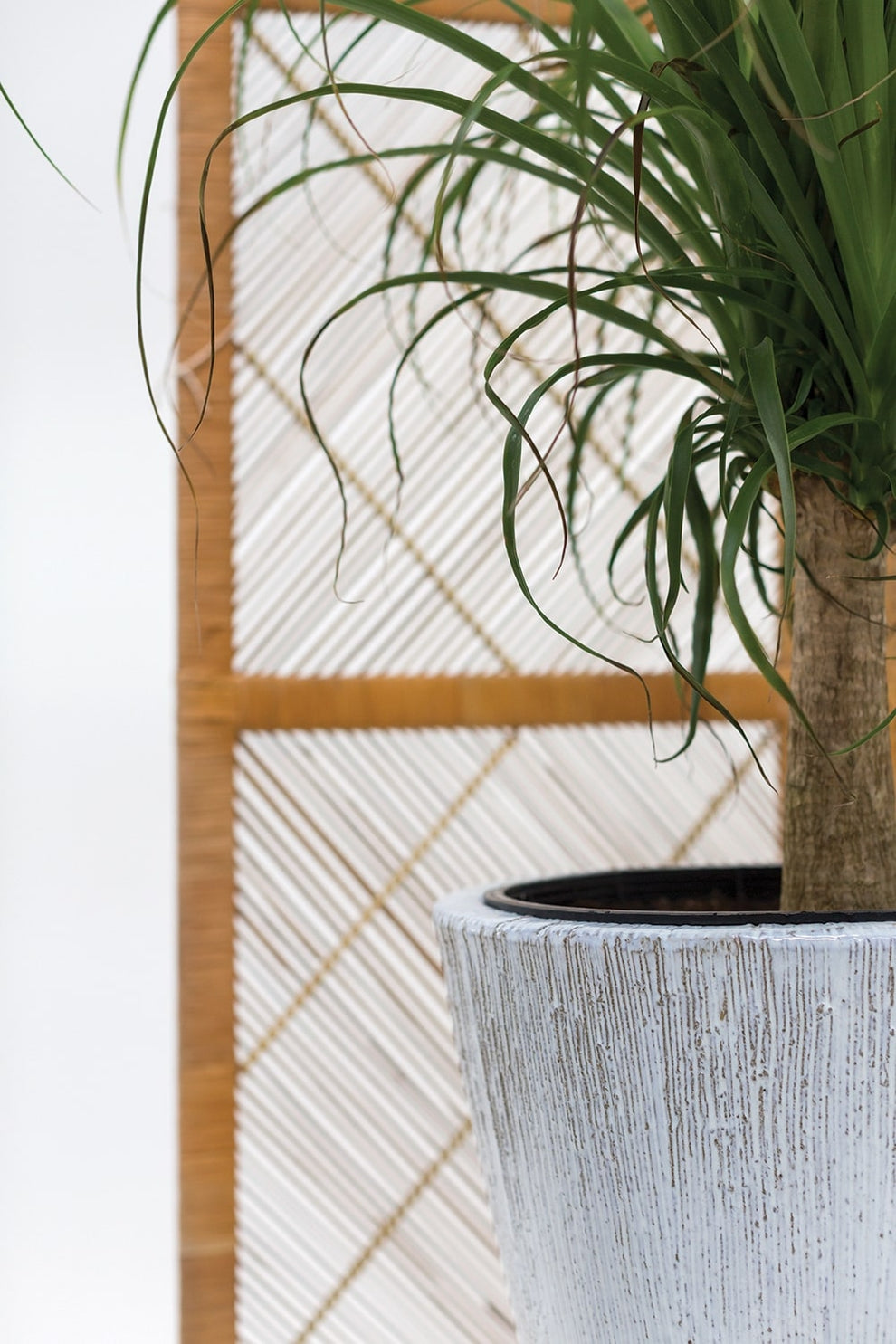 Camy Planter By Accent Decor | Outdoor Planters, Troughs & Cachepots | Modishstore - 5