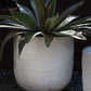 Greta White Concrete Textured Pot By Accent Decor | Planters, Troughs & Cachepots | Modishstore - 1