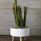 Parkview White Ceramic Planter with Wood legs-Set Of 2 By Accent Decor | Planters, Troughs & Cachepots | Modishstore - 4