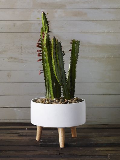 Parkview White Ceramic Planter with Wood legs-Set Of 2 By Accent Decor | Planters, Troughs & Cachepots | Modishstore - 4