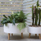 Parkview White Ceramic Planter with Wood legs-Set Of 2 By Accent Decor | Planters, Troughs & Cachepots | Modishstore - 1