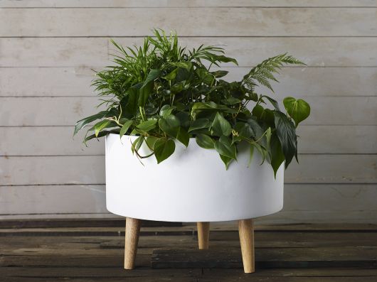 Parkview White Ceramic Planter with Wood legs-Set Of 2 By Accent Decor | Planters, Troughs & Cachepots | Modishstore - 7