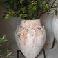 Tuscan Plant Stand By Accent Decor | Planters, Troughs & Cachepots | Modishstore - 2