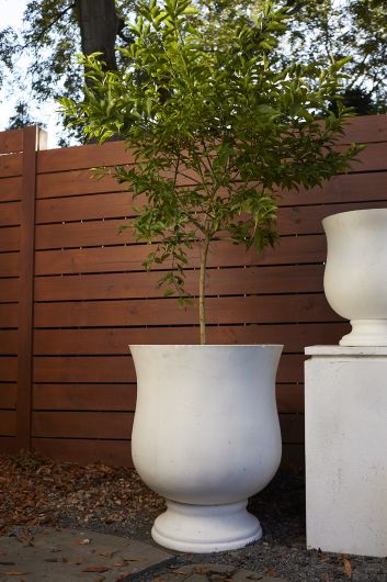 Hilltop Urn By Accent Decor | Outdoor Planters, Troughs & Cachepots | Modishstore - 5