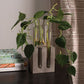 Propagation Plant Slim Vase Stand  By Accent Decor- 2 Sizes | Planters, Troughs & Cachepots | Modishstore - 1
