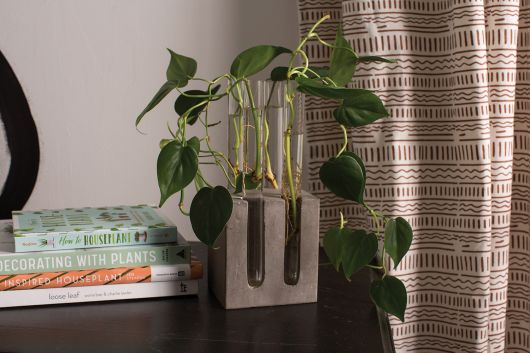 Propagation Plant Slim Vase Stand  By Accent Decor- 2 Sizes | Planters, Troughs & Cachepots | Modishstore - 1