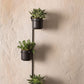 Cera Hanging Wall Pots By Accent Decor | Planters, Troughs & Cachepots | Modishstore - 2