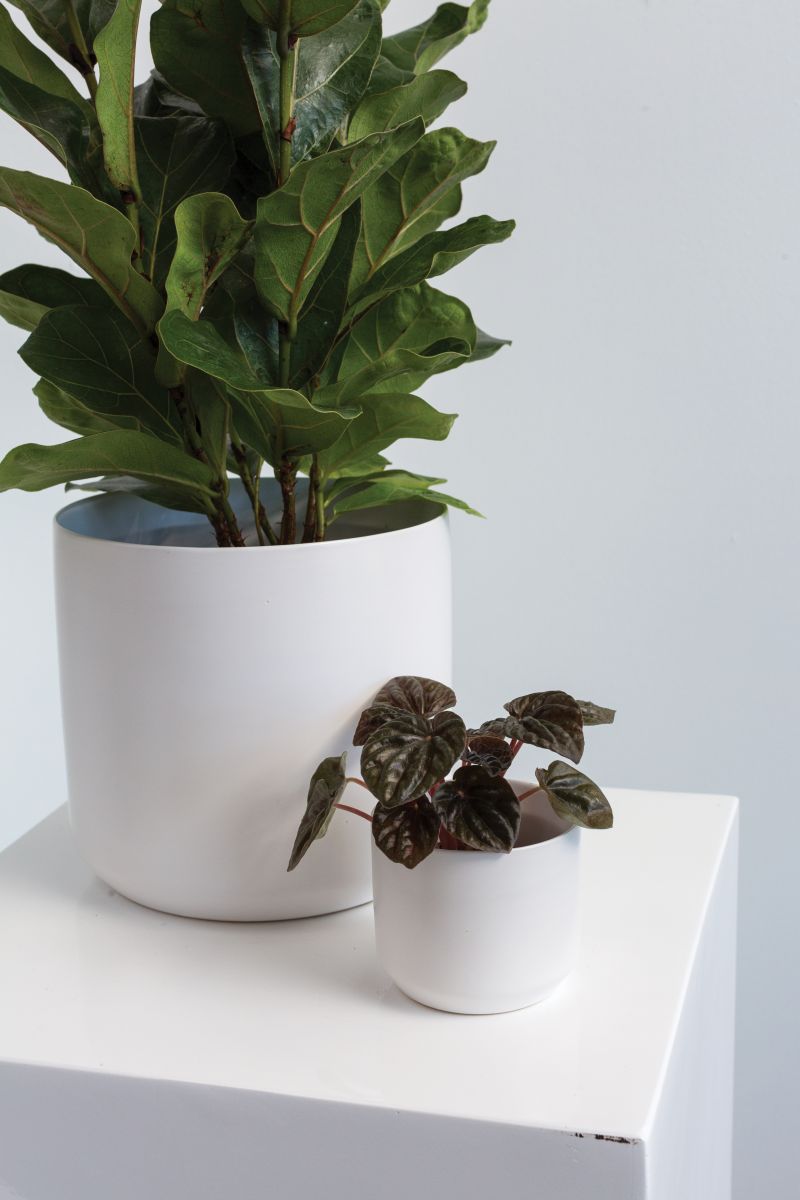 Kendall Collection 3.25"x 2.75" Pot Set of 6 By Accent Decor | Planters, Troughs & Cachepots | Modishstore - 1