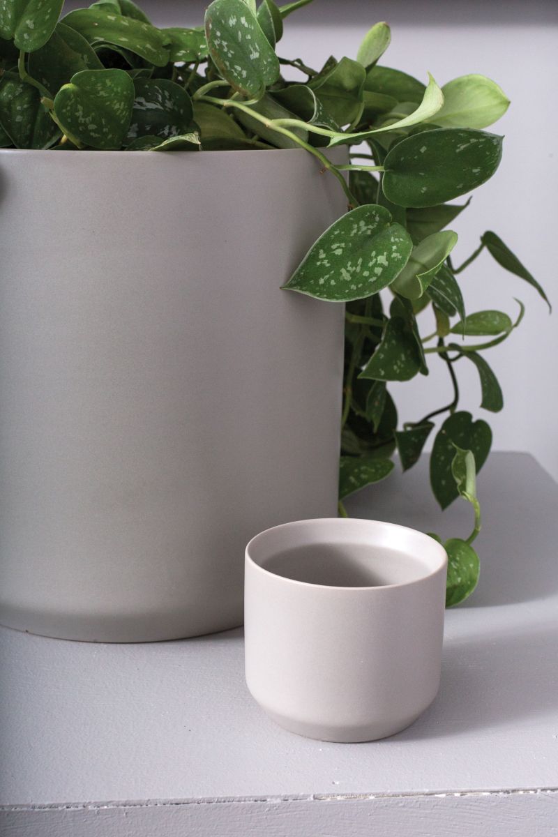 Kendall Collection 3.25"x 2.75" Pot Set of 6 By Accent Decor | Planters, Troughs & Cachepots | Modishstore - 2